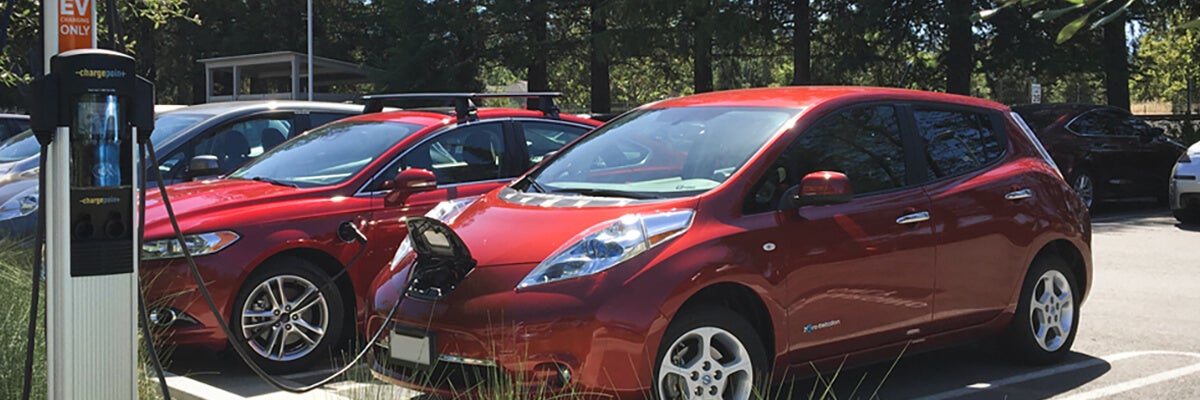 nissan leaf chargepoint