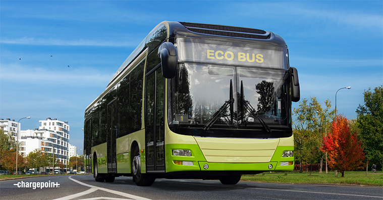 Eco Bus on the street