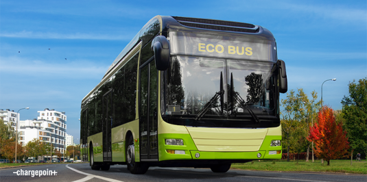 Eco Bus on the street